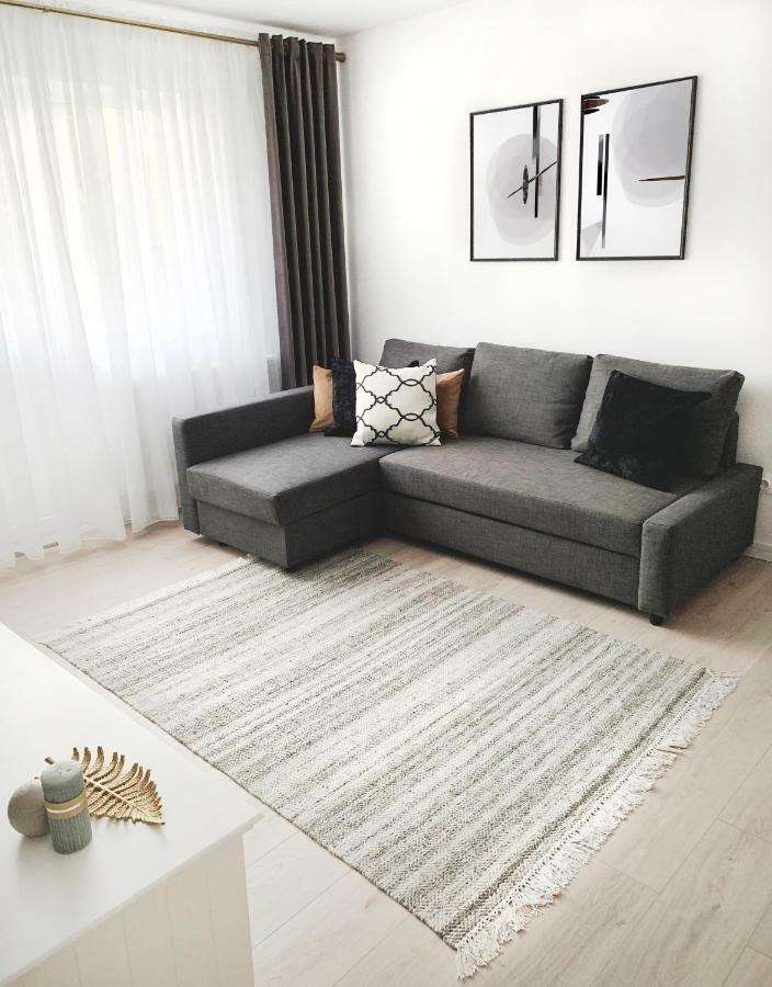 Mhc Quiet Deluxe Suite Near Downtown - Free Parking Braşov Extérieur photo